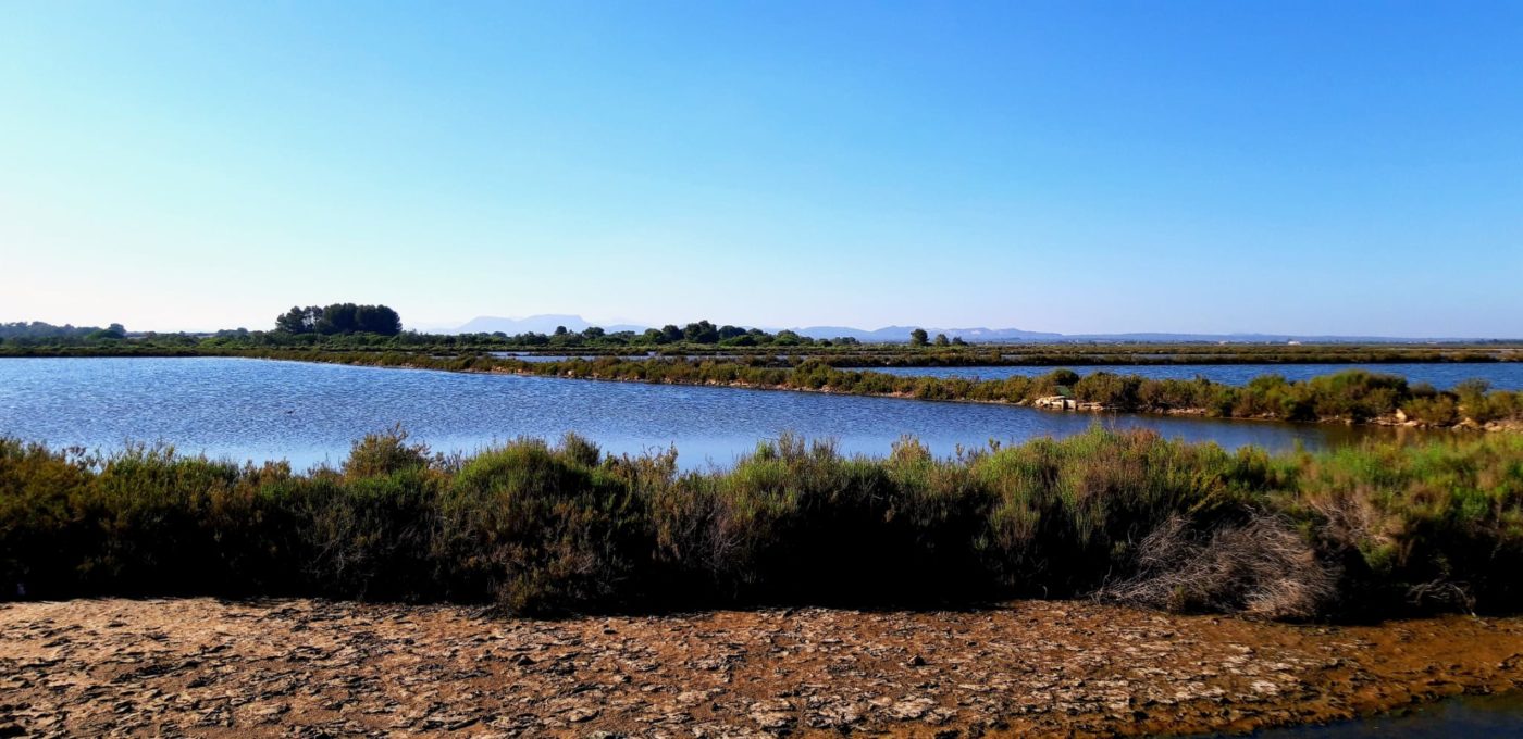 Es Trenc bird observatory