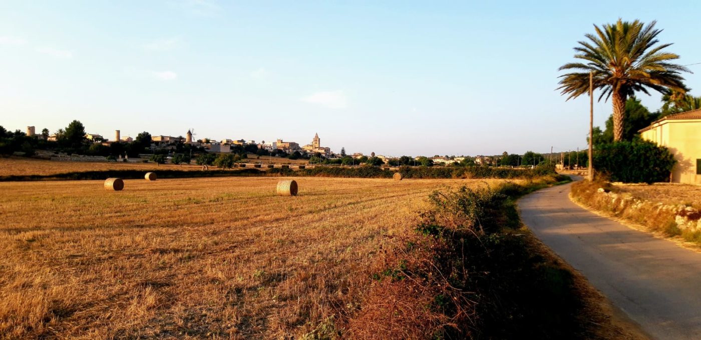 Vistas Sineu